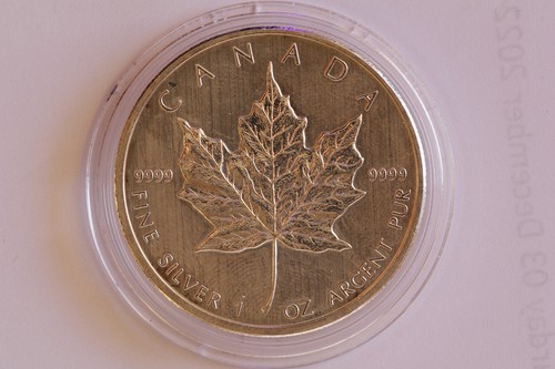 2013 1oz silver coin - 1oz,