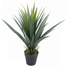 60cm Artificial Tropical Agave