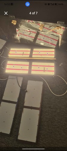 Job lot 600w grow lights - job,