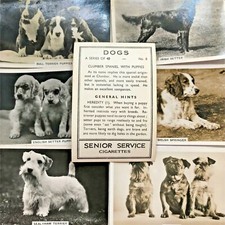 DOGS - SENIOR SERVICE CIGARETTE CARDS 1930S PHOTOS - take your pick
