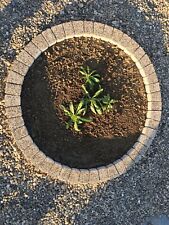 120cm cream garden circle