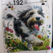 Bearded Collie Running Soft