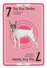 TOY FOX TERRIER AMERICAN KENNEL CLUB DOG COLLECTABLE TRADING CARD