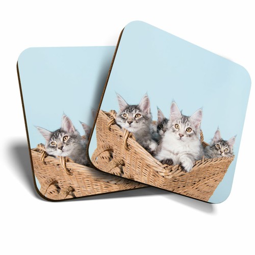 Coasters cute maine - -,
