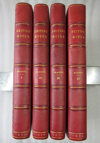 1872 natural history of - 1872,
