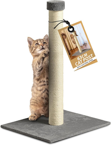 Zeno 63cm tall cat - zeno, scratching