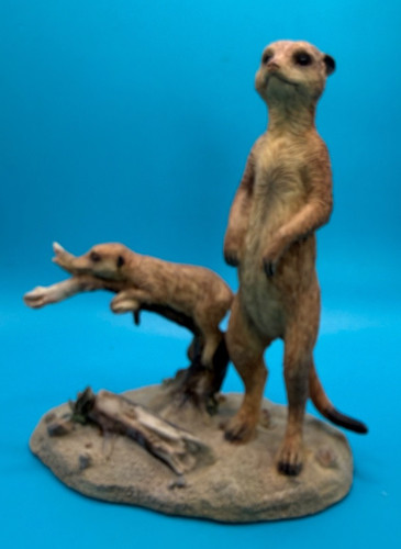 Out africa 2008 meerkats - of,