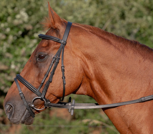 Heritage saddlery english - saddlery,