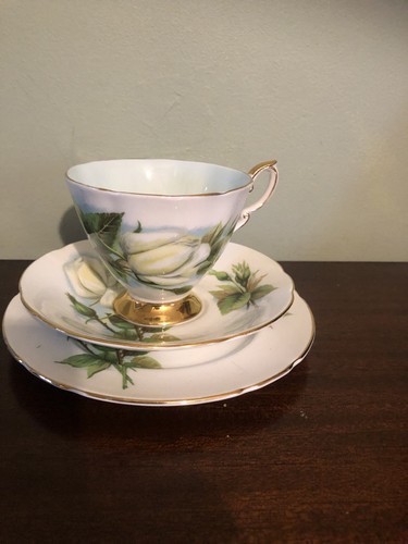 Paragon harry wheatcroft roses - harry,