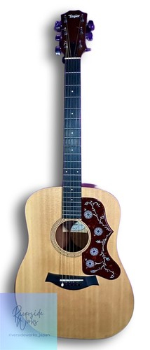 Taylor academy 10e - 10e, acoustic