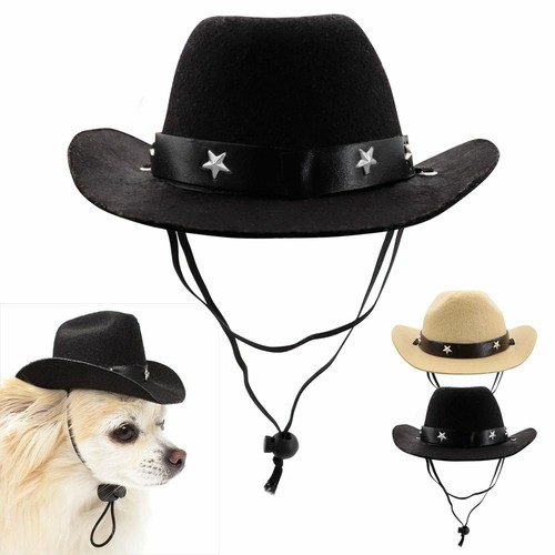 Dog cowboy hat - dog,