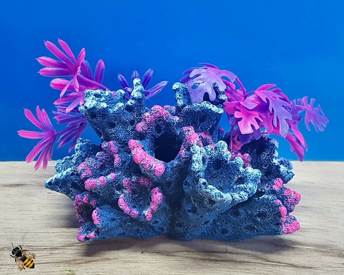 Coral reef aquarium - reef, ornament