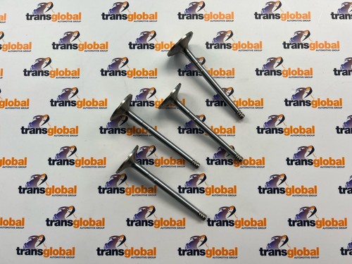 Inlet valves for land rover - inlet,