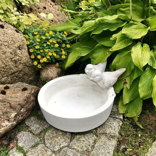 Drinking bowl bird - bowl,