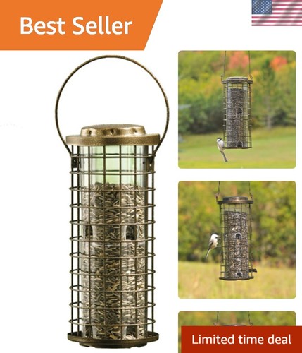 Squirrel proof bird - proof, feeder