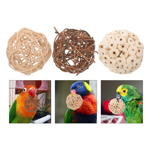 Pcs parrot bird - parrot,