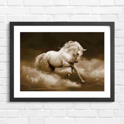 White horse running through - horse,