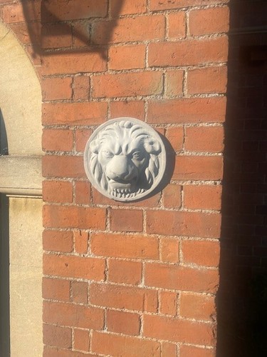 Lovely regal lion head - regal, wall