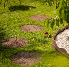 Earth cracked log stepping - earth,