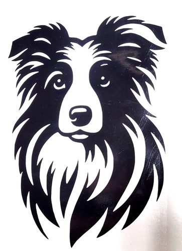 Border collie dog vinyl - collie,