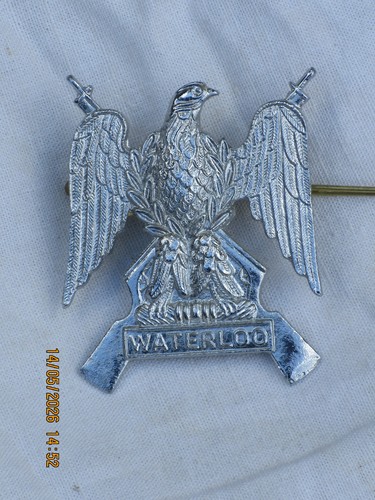 Royal scots dragoon - royal,