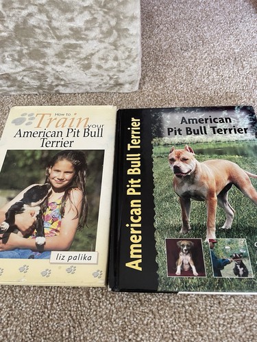 American pit bull terrier - pit,