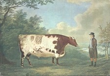 Durham 1802 etching man - etching,