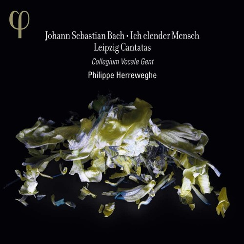 Johann sebastian bach - johann,