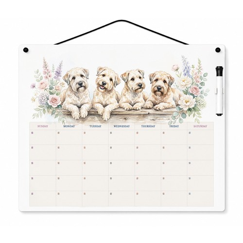 Soft coated wheaten - soft, terrier