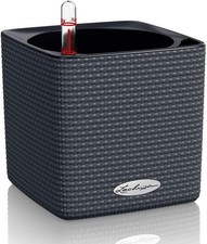 Lechuza cube color - cube, self