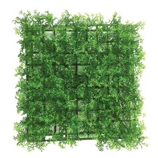 Swell Soleirolia Carpet