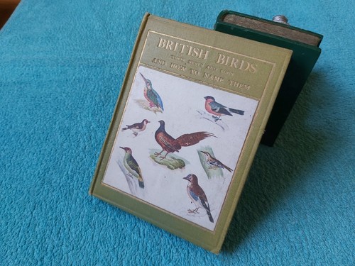 British birds their nests - their,