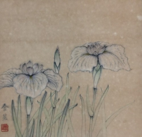 P0103 vintage japanese iris - p0103,