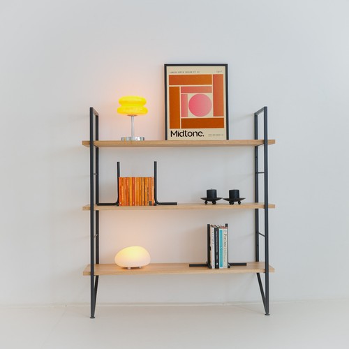 Mid century modern - modern, ladderax
