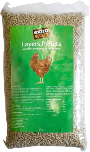 100 natural chicken feed - chicken,