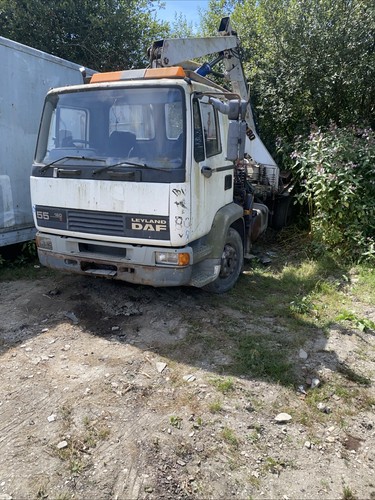Daf wheel nut - wheel, all