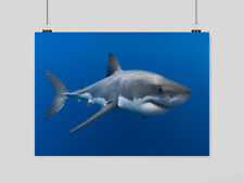 GREAT WHITE SHARK POSTER IMAGE