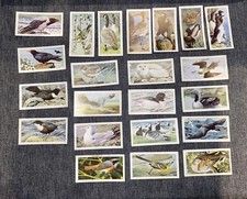 Brooke Bond Wild Birds in