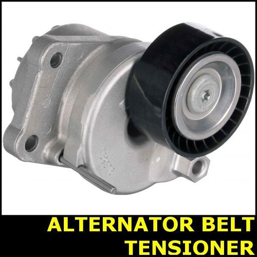 Ribbed belt tensioner - ribbed,