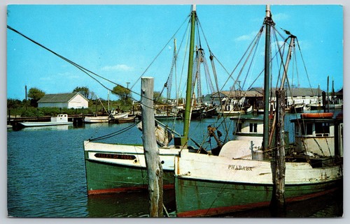 Postcard commercial fishing - commercial,