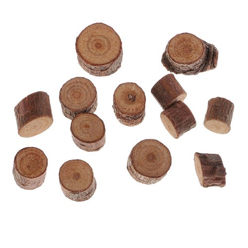 Pieces wood round log slice - pieces,