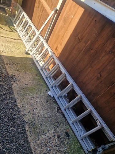 Triple extension ladder 15 - triple,