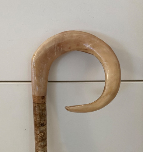 Rams horn curly crook on - ,
