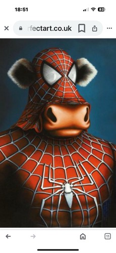 Spider moo box cavas pre - spider,