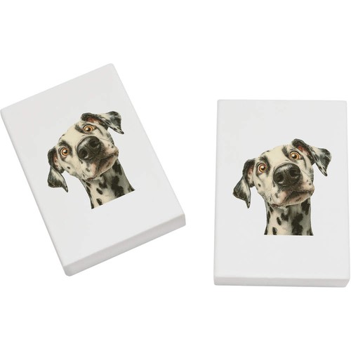 Dalmatian dog portrait - 2,