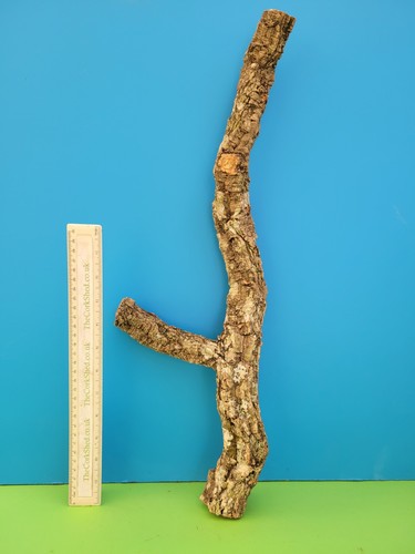 Cork bark branch 54cm snake - cork,