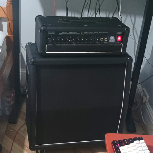 White horse t64rs tube - horse, guitar
