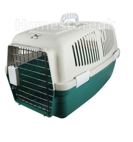 Pet bird cat dog puppy - pet,