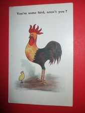 Old Comic postcard POULTRY COCKEREL CHICK YOU'RE SOME BIRD AREN'T YOU