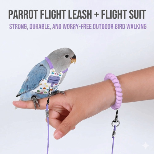 Breathable parrot flying - breathable,